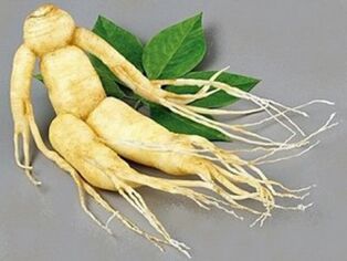 radice di ginseng per la potenza