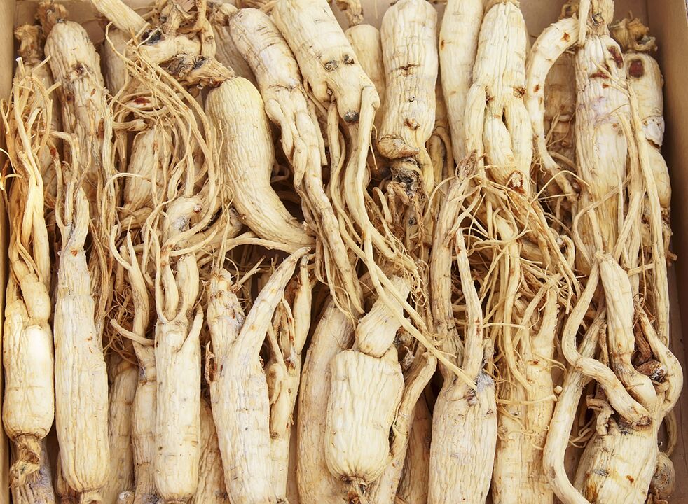 Sulla base della radice di ginseng, puoi preparare un decotto che migliora la potenza